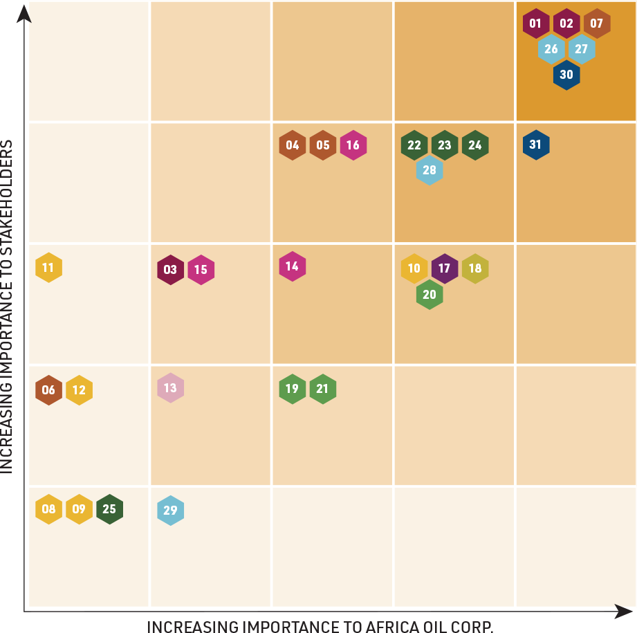 Materiality Matrix